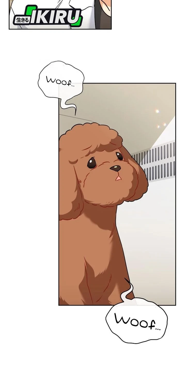 Hello? Veterinarian! Chapter 139 Gambar 10