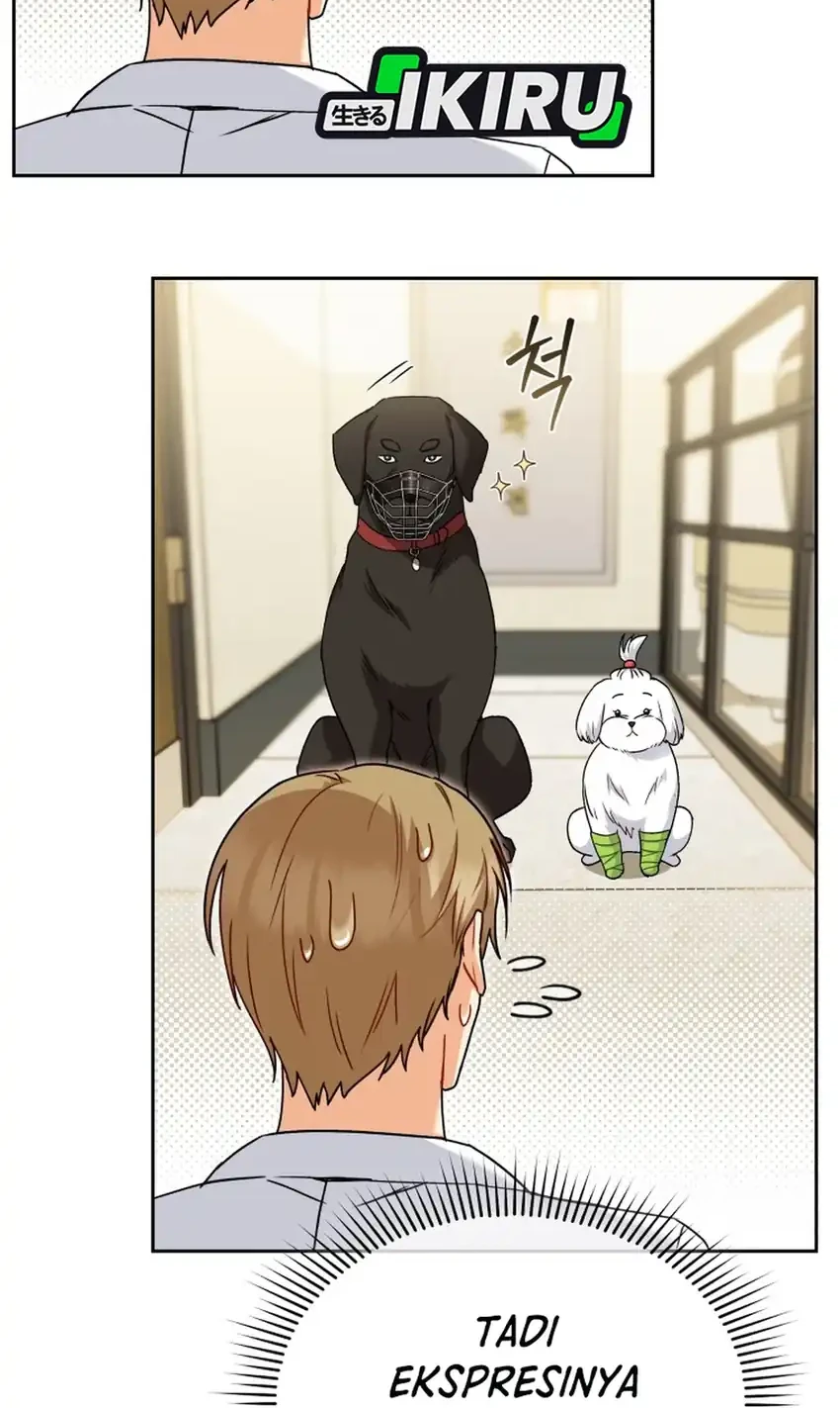 Hello? Veterinarian! Chapter 145 Gambar 10