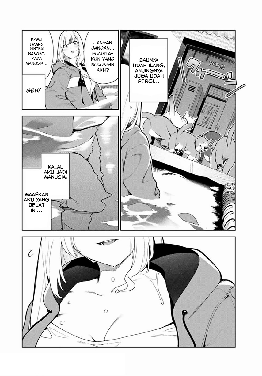 Chapter 14 - halaman 11