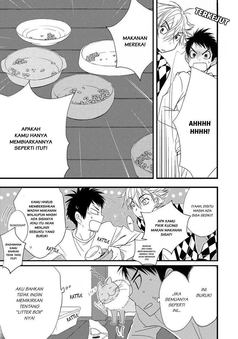 Chapter 2 - halaman 11