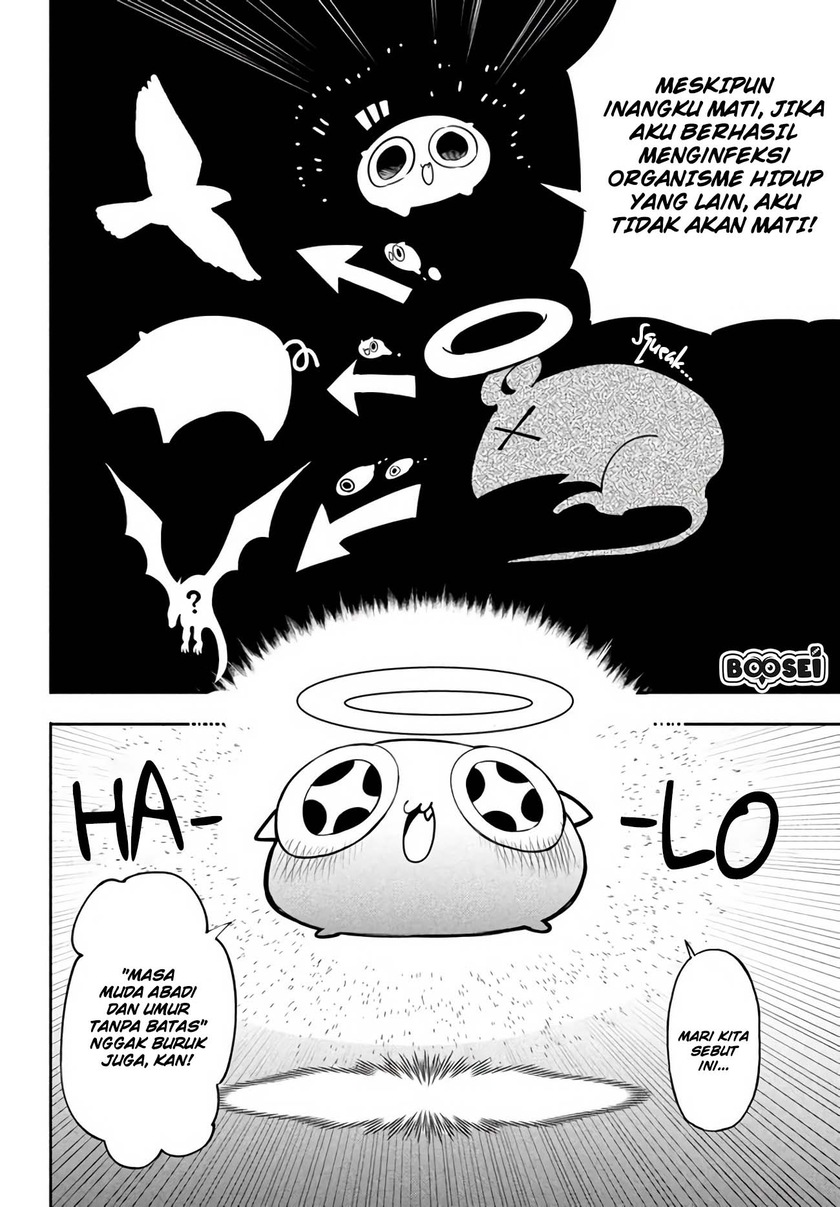 Chapter 2.1 - halaman 11