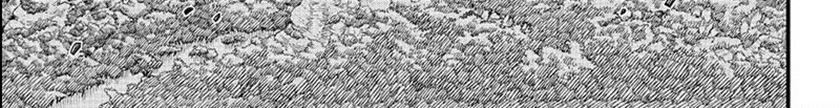 Chapter 127 - halaman 10