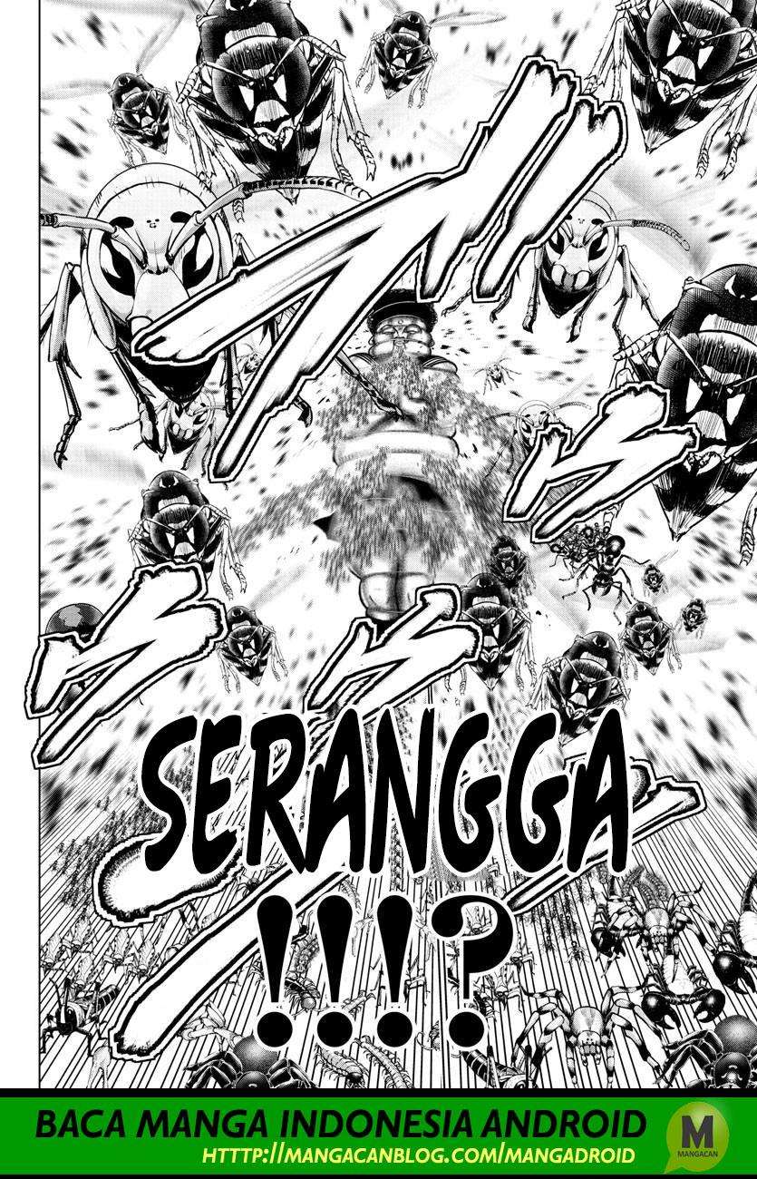 Chapter 113 - halaman 11